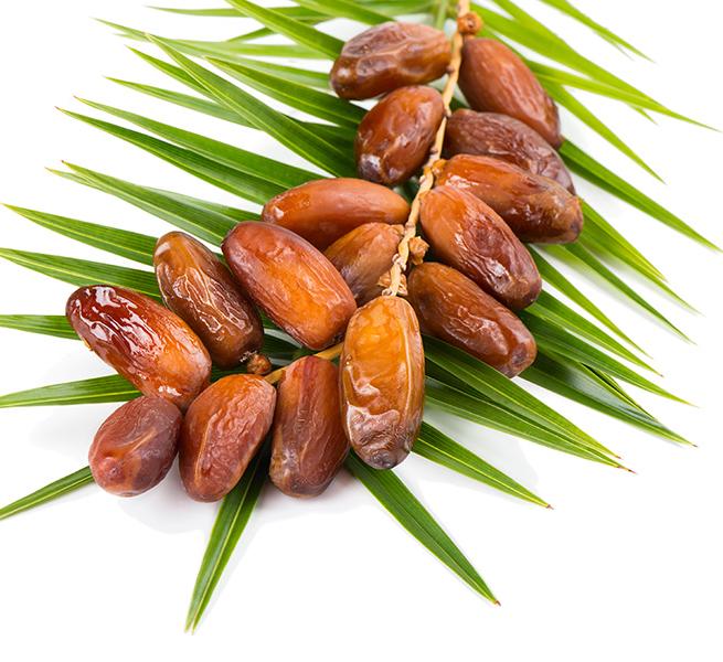 The Date Palm Legacy: How Dates Are Shaping the Future of Sustainable Nutrition