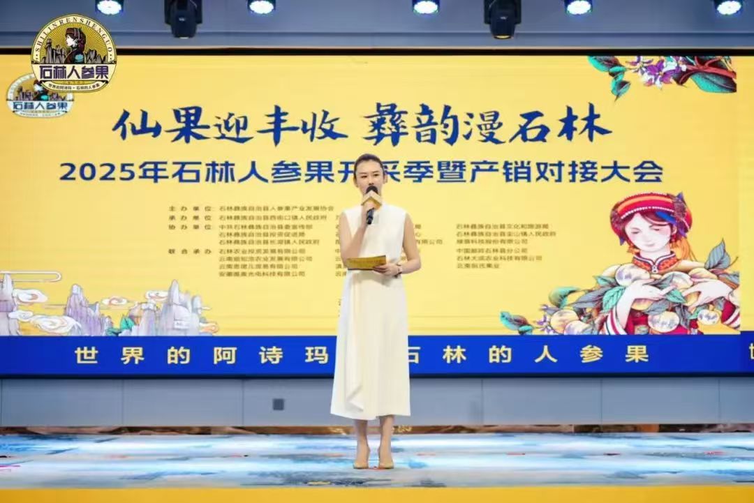 ظهرت شركة VSEE SORTING في مؤتمر Shilin Ginseng Fruit Production and Marketing Matchmaking Conference، وساعدت تقنية الفرز الذكية في تمكين التحديث الصناعي.