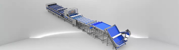 فارز لون التاريخ