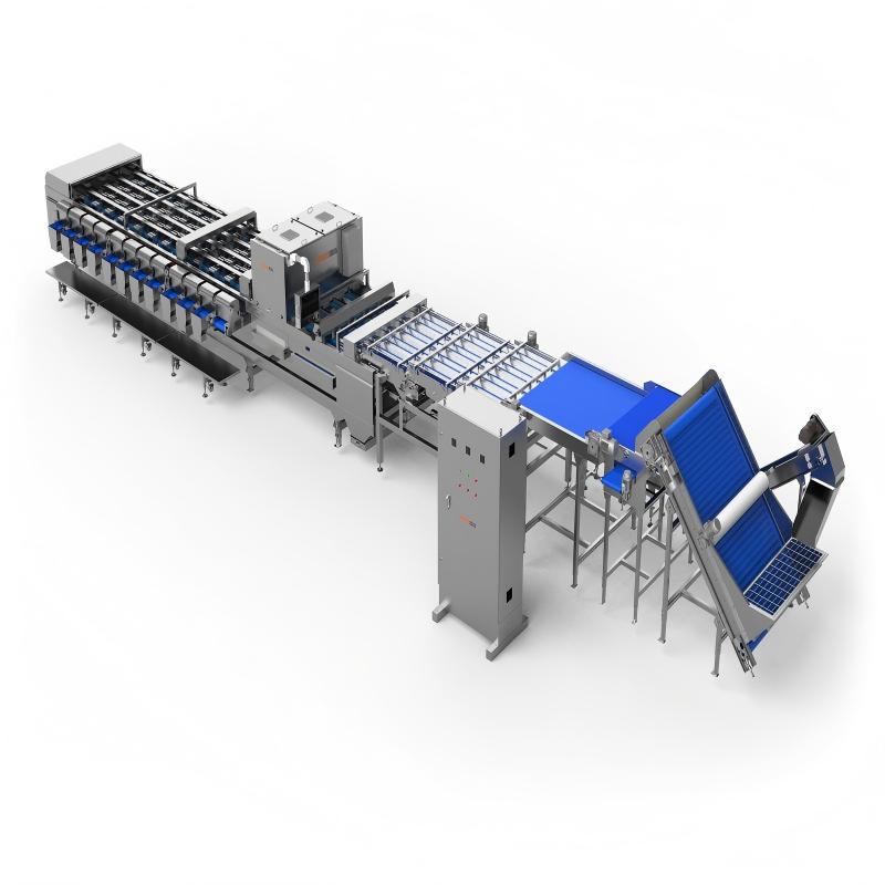 How Does a Date Sorting Machine Work?