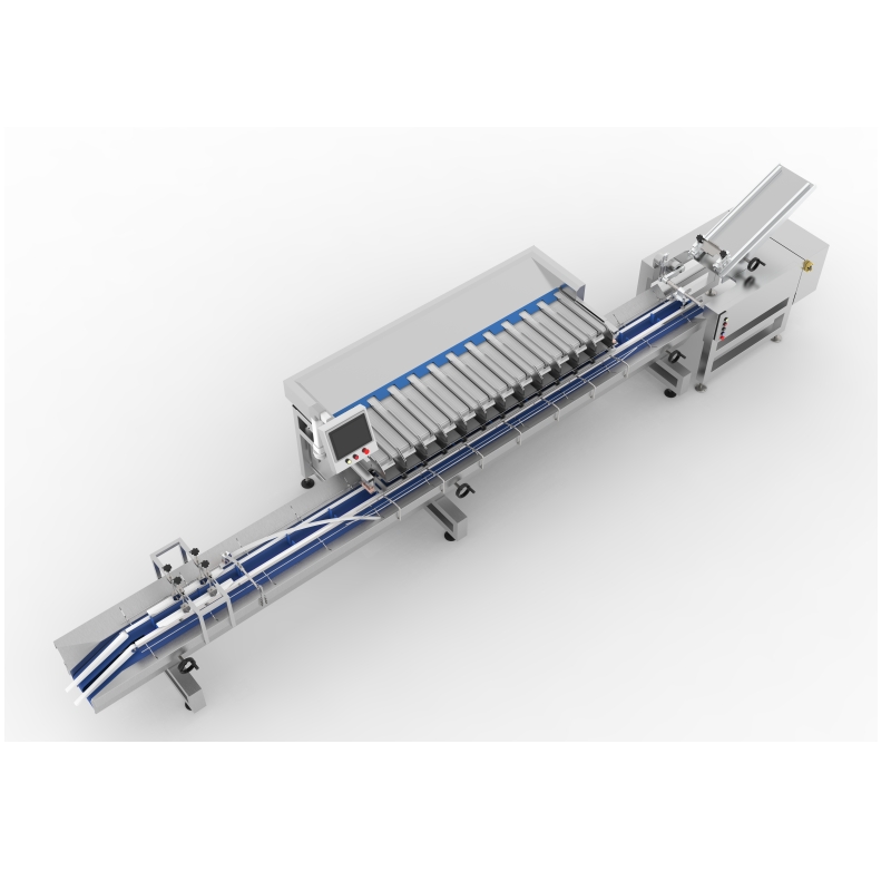 packing machine for blueberry